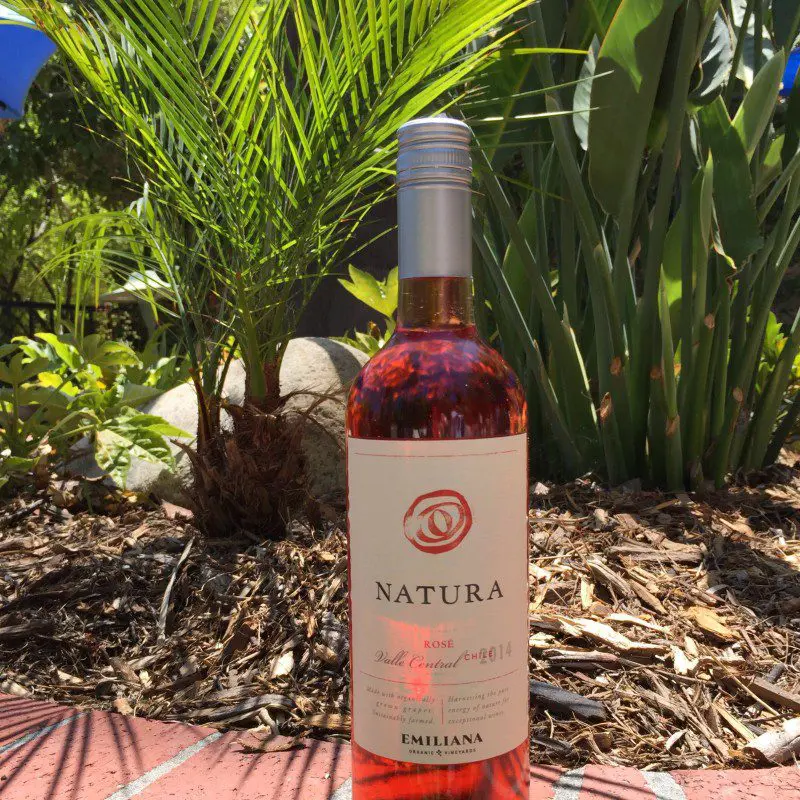 Natura Organic Wine Review