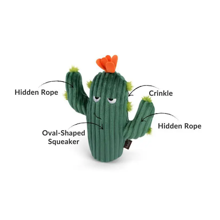 PLAY Prickly Pup Cactus - Image 3