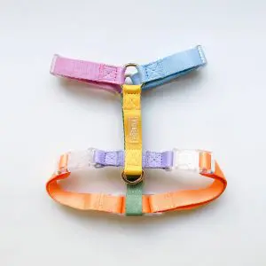 Furlou Dog Harness in Rainbow