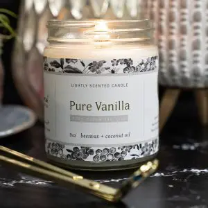 Fontana Candle Co. Candle in Pure Vanilla