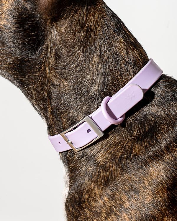 Pastel Pink' - Dog Collar – FURLOU